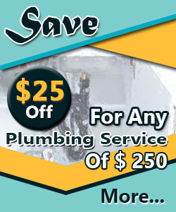 professional plumber offers